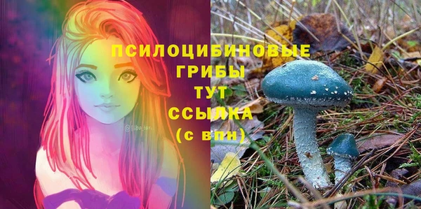 дмт Белоозёрский