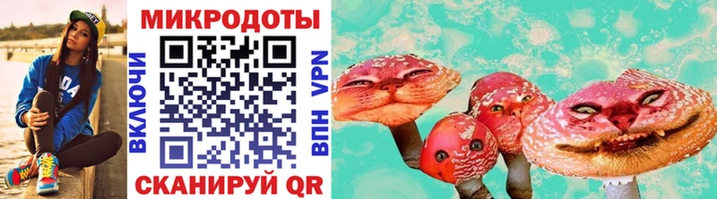 Псилоцибиновые грибы мухоморы  KRAKEN ТОР  Шенкурск  хочу наркоту 